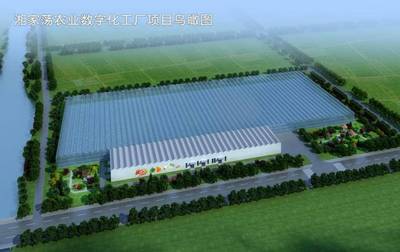 嘉兴市委书记张兵一行检查--湘家荡农业数字化工厂&ldquo;第四个中国农民丰收节&rdquo;