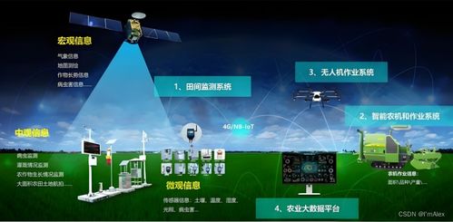 现代农业AI智能化升级之路 机器学习现状与未来展望