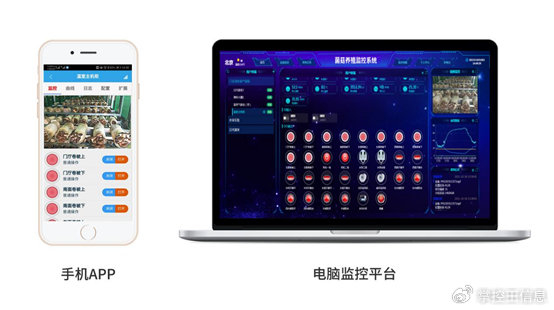 智慧农业新篇章 菌菇智能温室管理系统，开启精准高效种植新时代