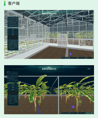 智慧农业可视化 驱动现代农业管理的智能引擎