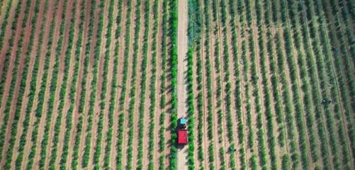 京东云与新疆精河的“杞遇” 智能农业管理的创新实践