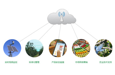 智能农业管理 项目概述与未来展望
