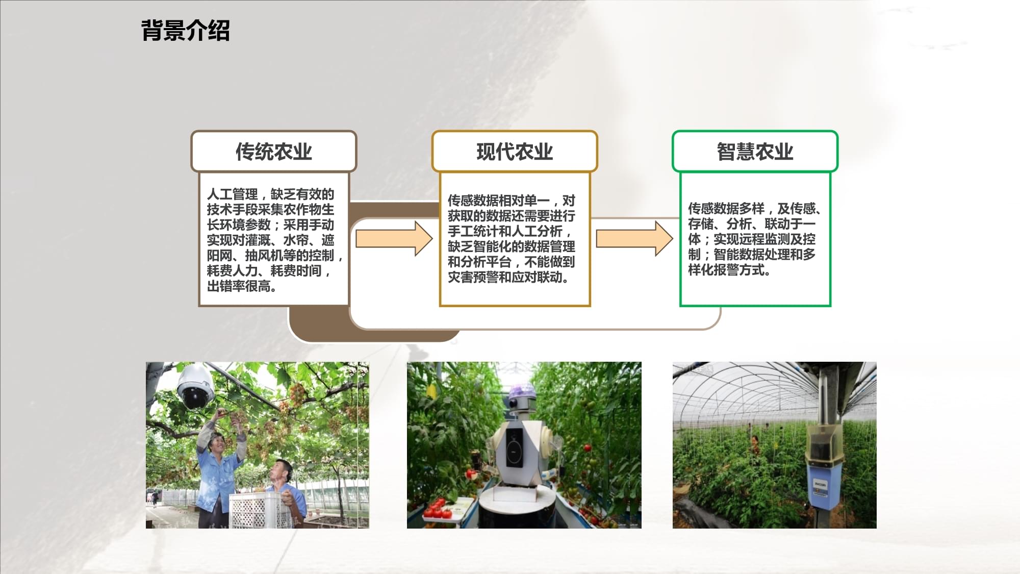 智慧农业物联网项目建设解决方案——智能农业管理
